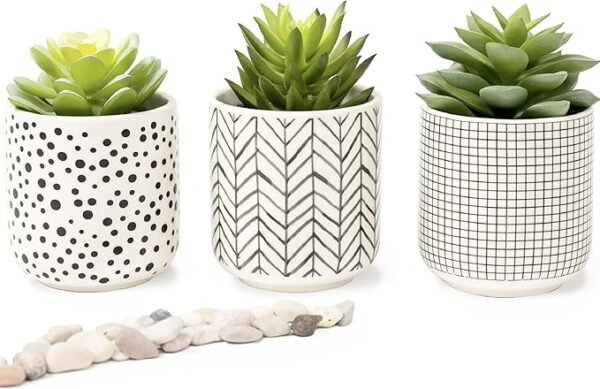 Kurrajong Farmhouse Artificial Succulents in pots | Set of 3 Black and White pots with Succulents | Faux Plants Indoor | Fake Plants for Desk Decor | 4.75" high Faux Succulents in pots