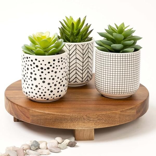 Kurrajong Farmhouse Artificial Succulents in pots | Set of 3 Black and White pots with Succulents | Faux Plants Indoor | Fake Plants for Desk Decor | 4.75" high Faux Succulents in pots - Image 2